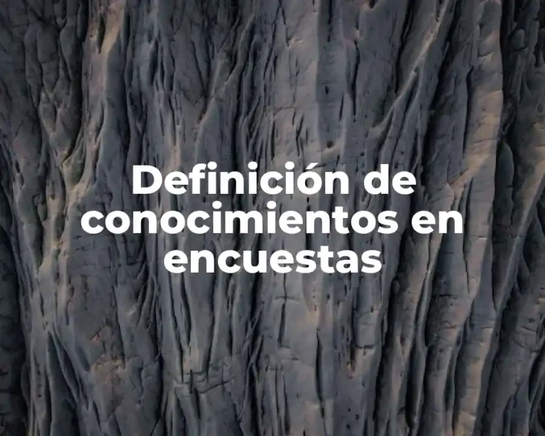Definición de conocimientos en encuestas