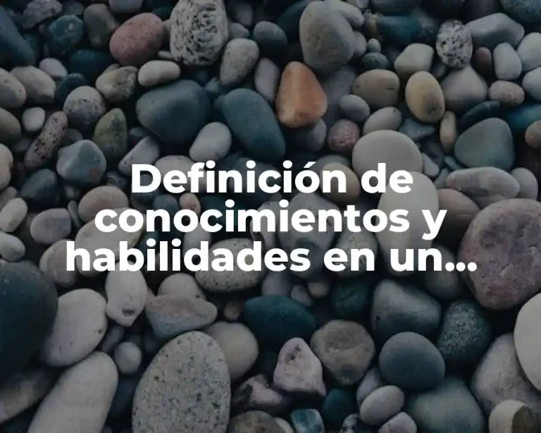 Definición de conocimientos y habilidades en un curriculum