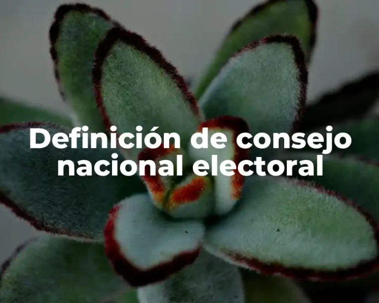 Definición de consejo nacional electoral