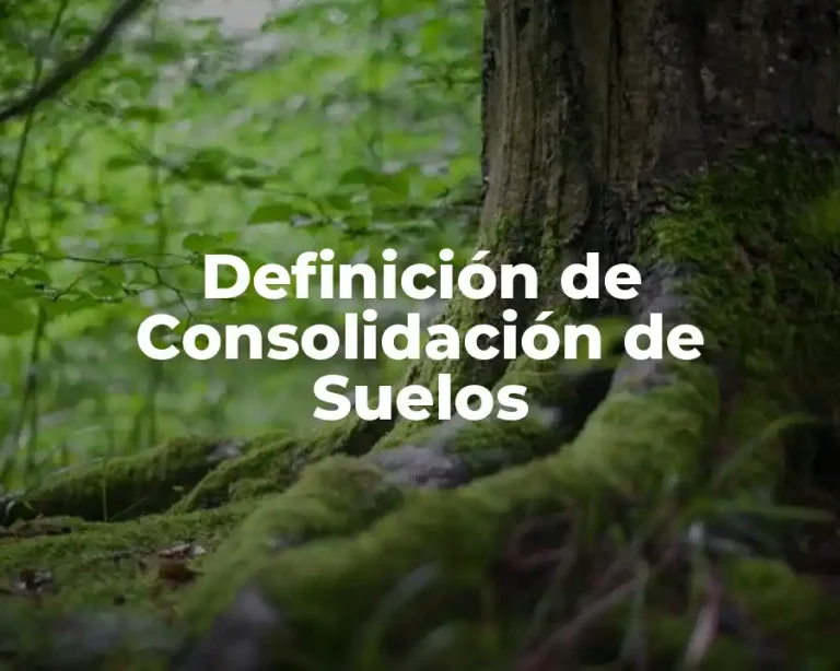Definición de Consolidación de Suelos