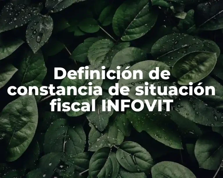 Definición de constancia de situación fiscal INFOVIT