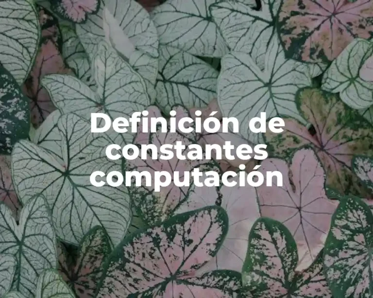 Definición de constantes computación