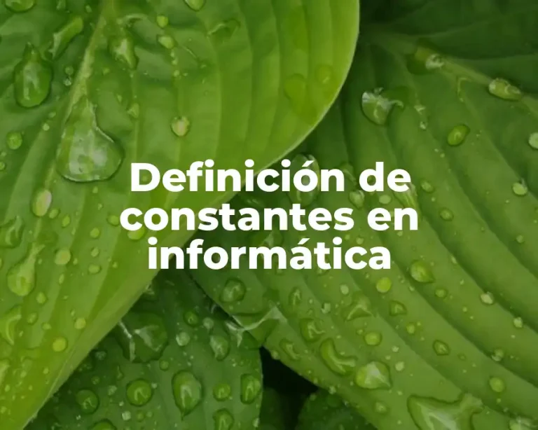 Definición de constantes en informática
