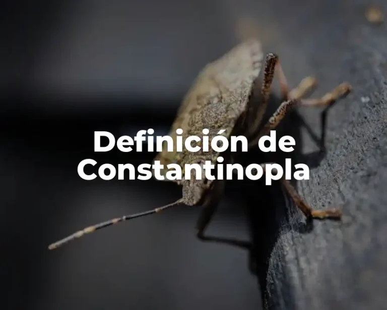 Definición de Constantinopla