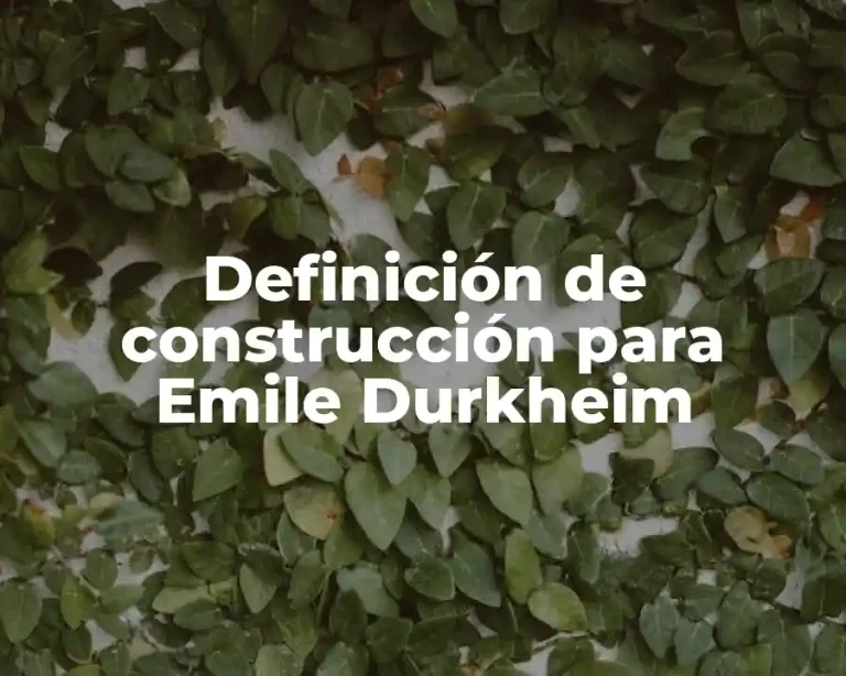 Definición de construcción para Emile Durkheim