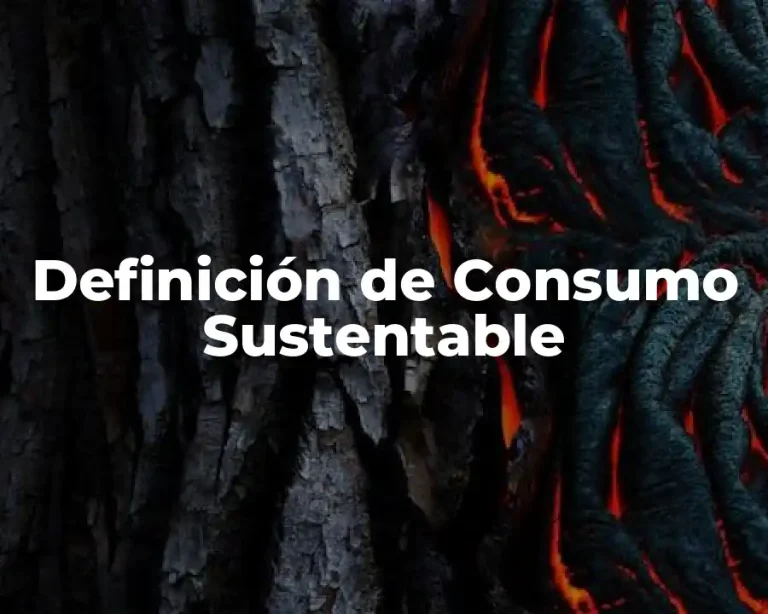 Definición de Consumo Sustentable