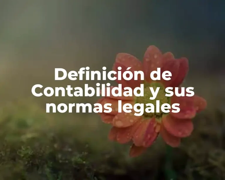 Definición de Contabilidad y sus normas legales