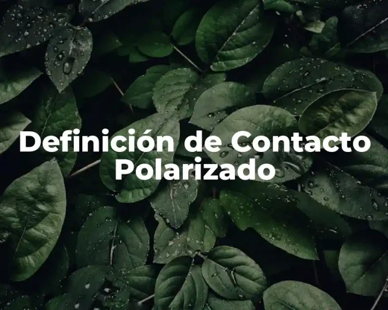 Definición de Contacto Polarizado