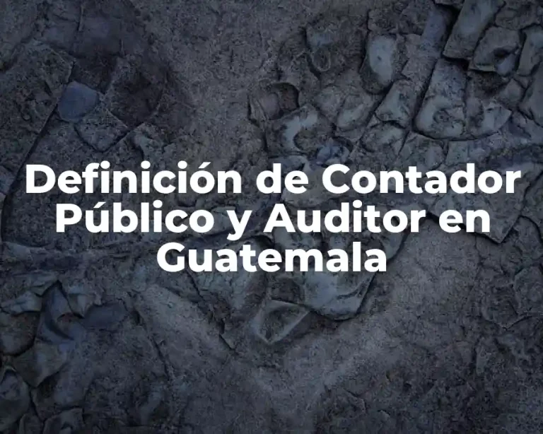 Definición de Contador Público y Auditor en Guatemala