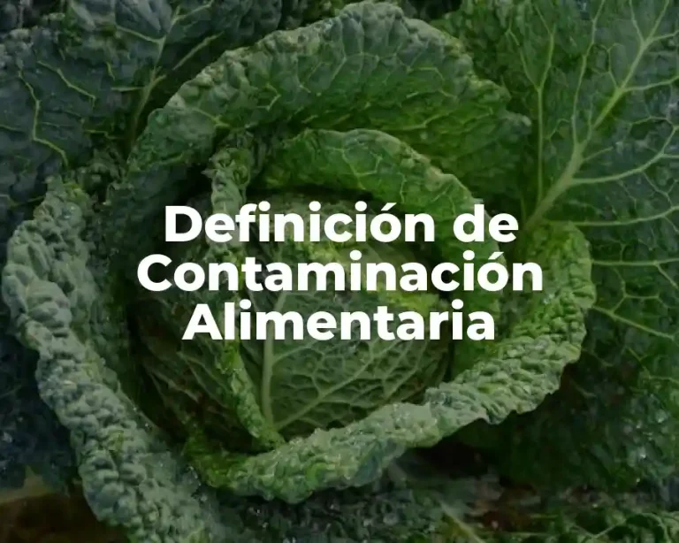 Definición de Contaminación Alimentaria