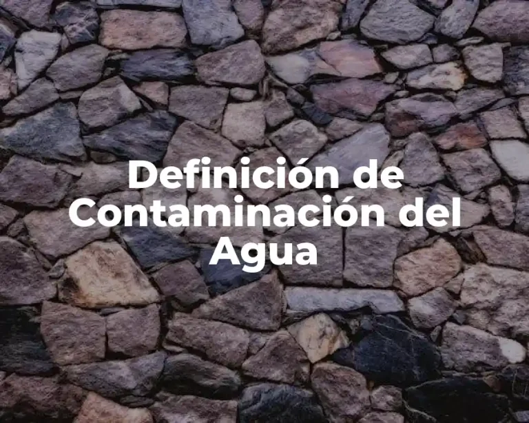 Definición de Contaminación del Agua