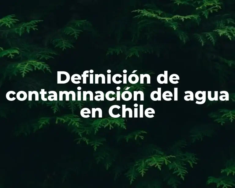 Definición de contaminación del agua en Chile