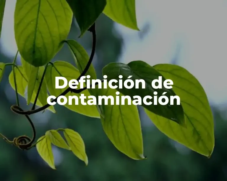 Definición de contaminación