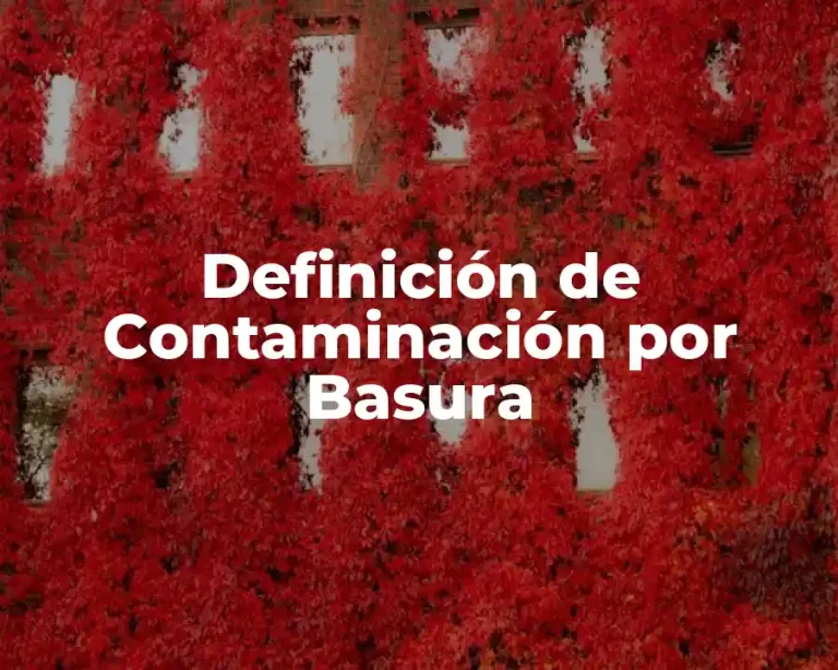 Definición de Contaminación por Basura