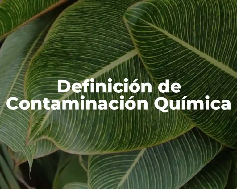 Definición de Contaminación Química