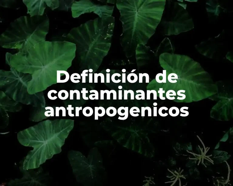 Definición de contaminantes antropogenicos