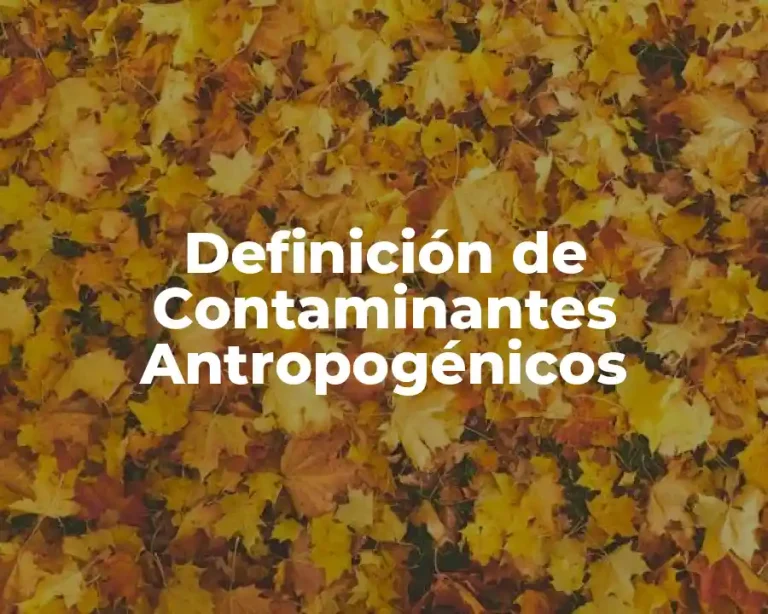 Definición de Contaminantes Antropogénicos
