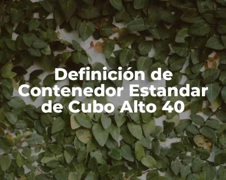Definición de Contenedor Estandar de Cubo Alto 40