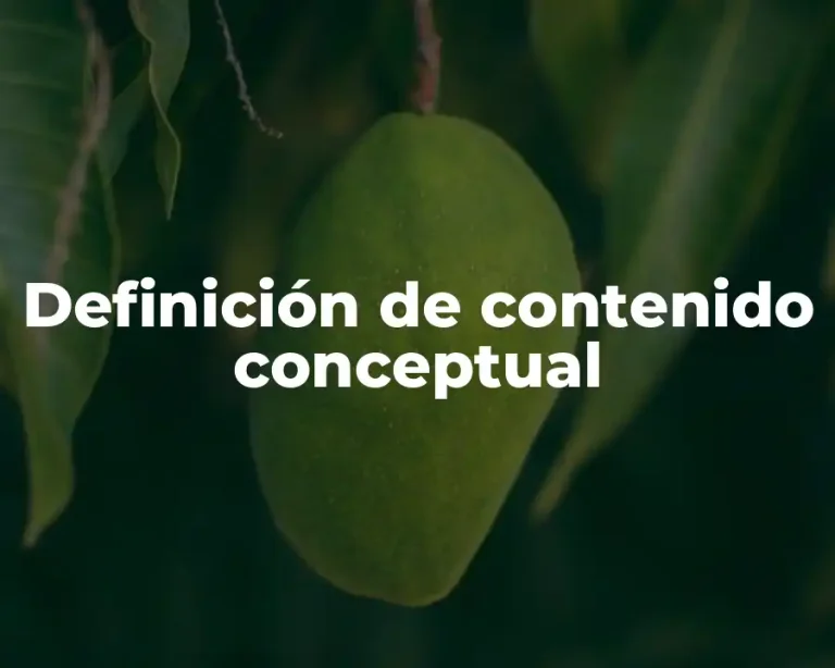 Definición de contenido conceptual