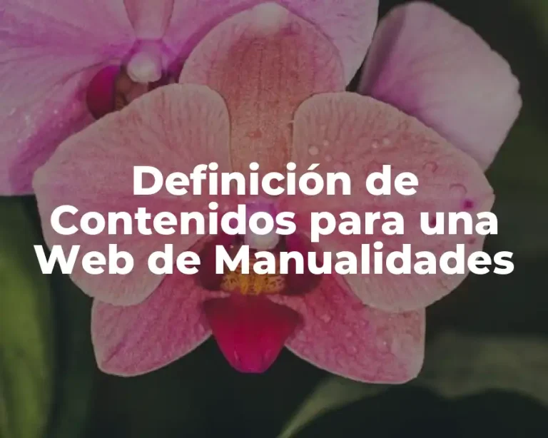 Definición de Contenidos para una Web de Manualidades