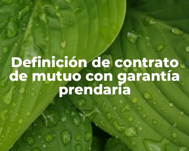 Definición de contrato de mutuo con garantía prendaria