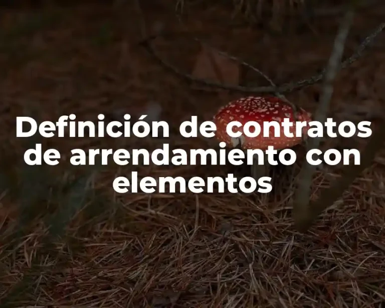 Definición de contratos de arrendamiento con elementos