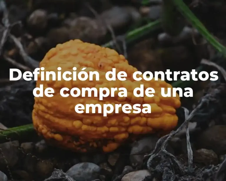 Definición de contratos de compra de una empresa
