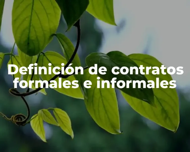 Definición de contratos formales e informales