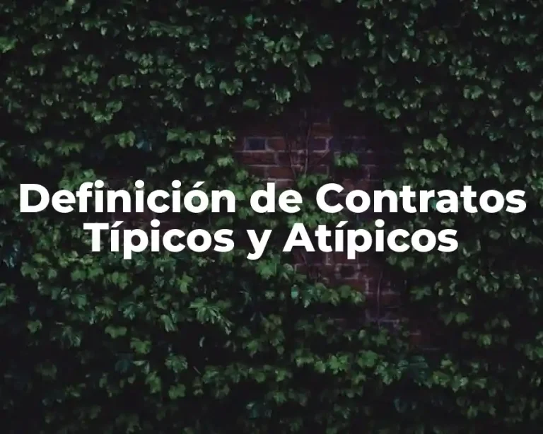 Definición de Contratos Típicos y Atípicos