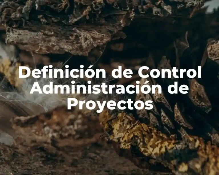 Definición de Control Administración de Proyectos
