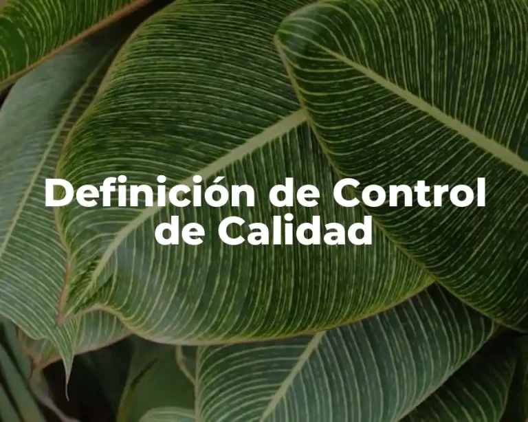 Definición de Control de Calidad