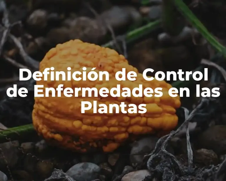 Definición de Control de Enfermedades en las Plantas