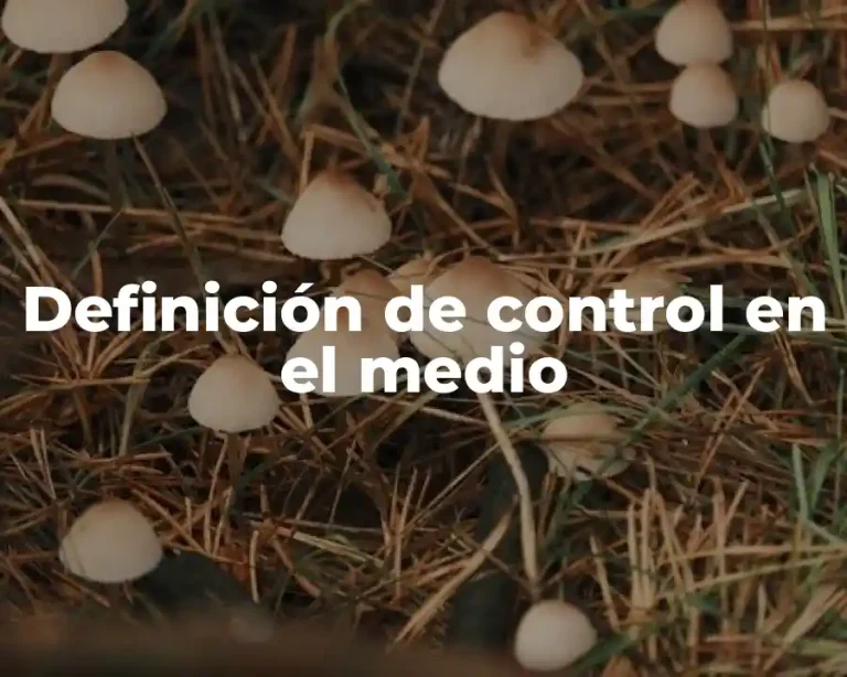 Definición de control en el medio