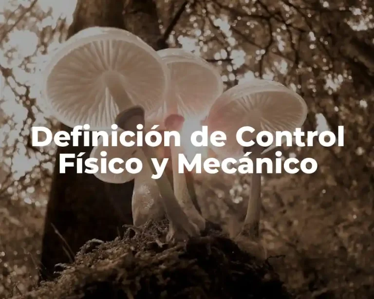 Definición de Control Físico y Mecánico
