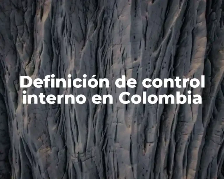 Definición de control interno en Colombia