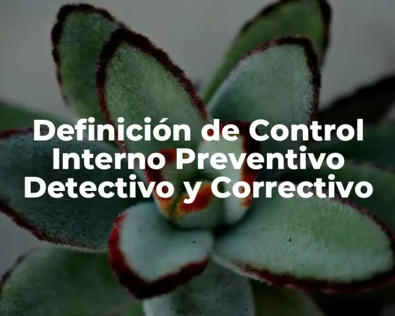 Definición de Control Interno Preventivo Detectivo y Correctivo