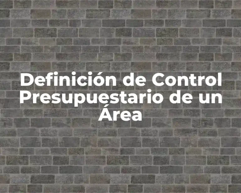 Definición de Control Presupuestario de un Área