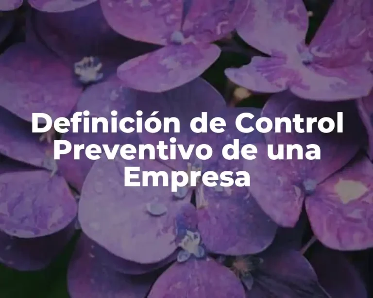 Definición de Control Preventivo de una Empresa