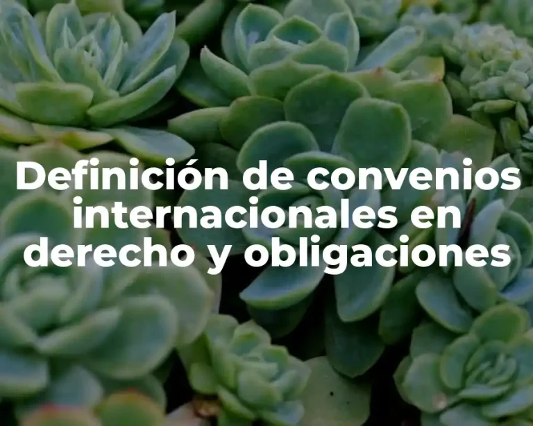 Definición de convenios internacionales en derecho y obligaciones
