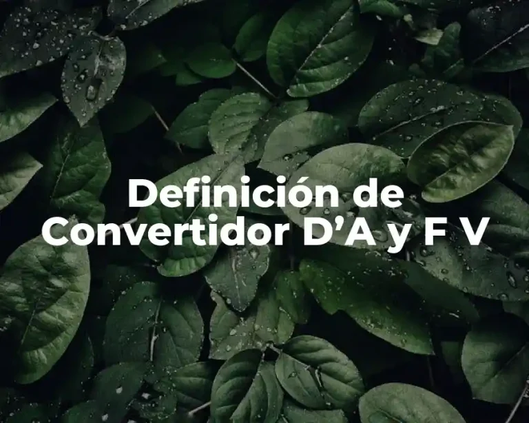 Definición de Convertidor D’A y F V