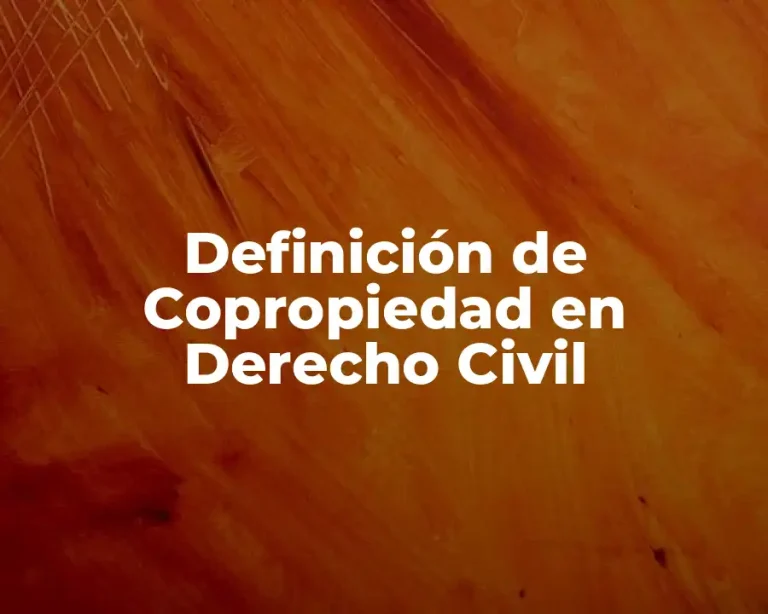 Definición de Copropiedad en Derecho Civil