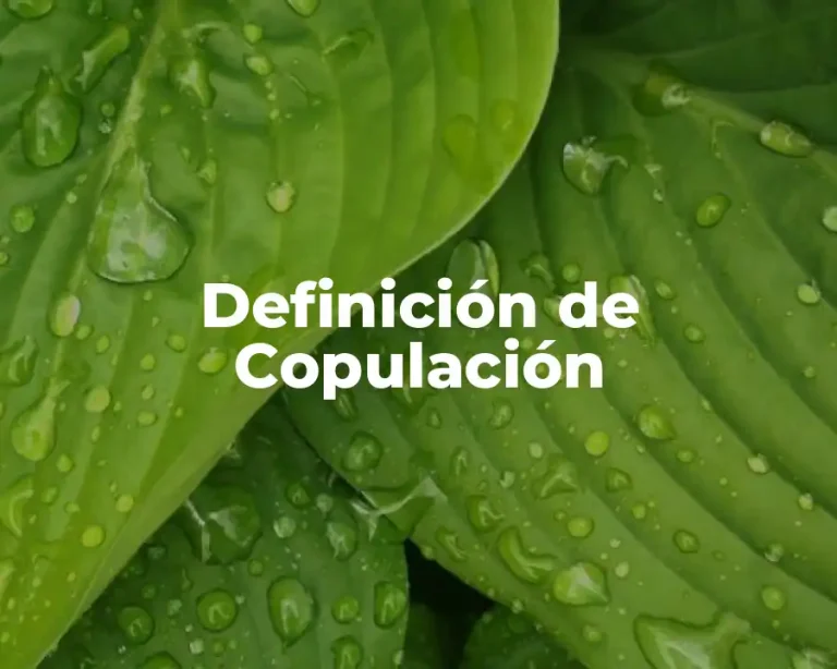 Definición de Copulación