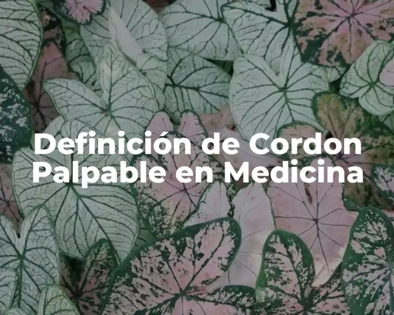Definición de Cordon Palpable en Medicina