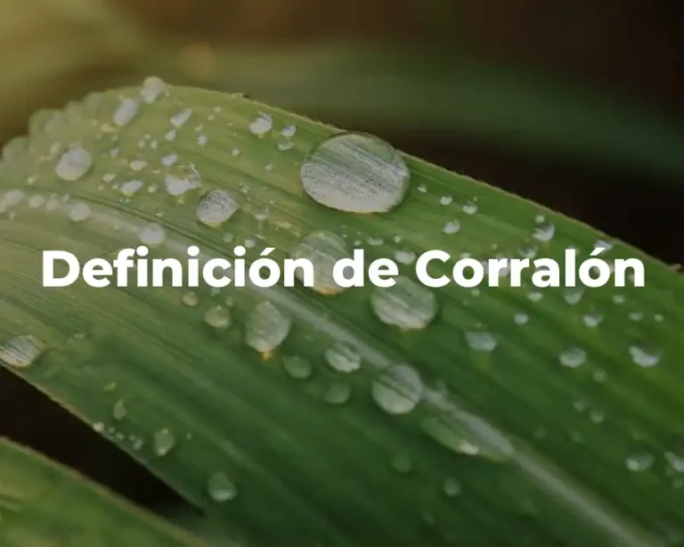 Definición de Corralón