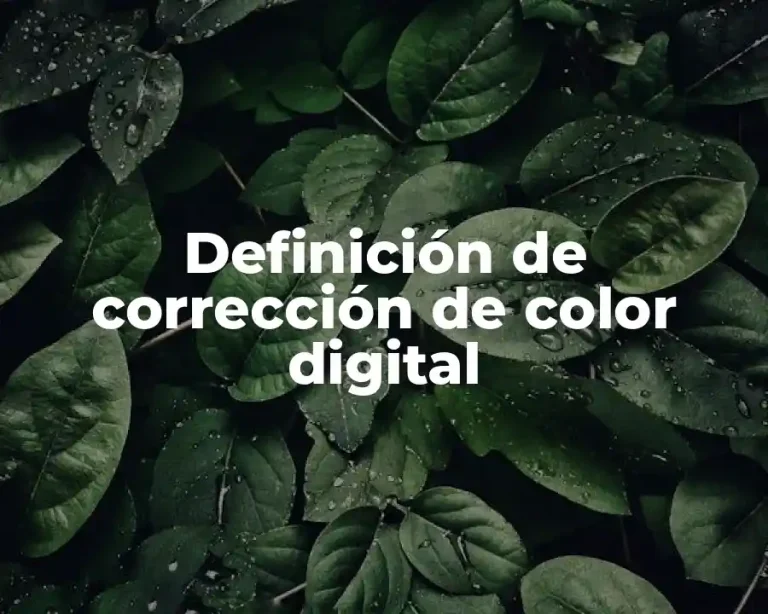 Definición de corrección de color digital