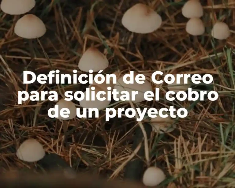 Definición de Correo para solicitar el cobro de un proyecto