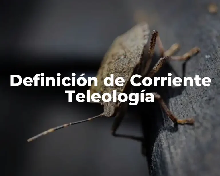 Definición de Corriente Teleología