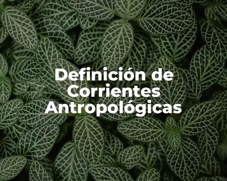Definición de Corrientes Antropológicas