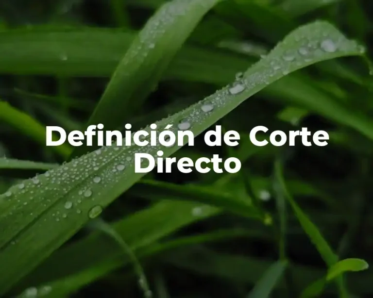 Definición de Corte Directo