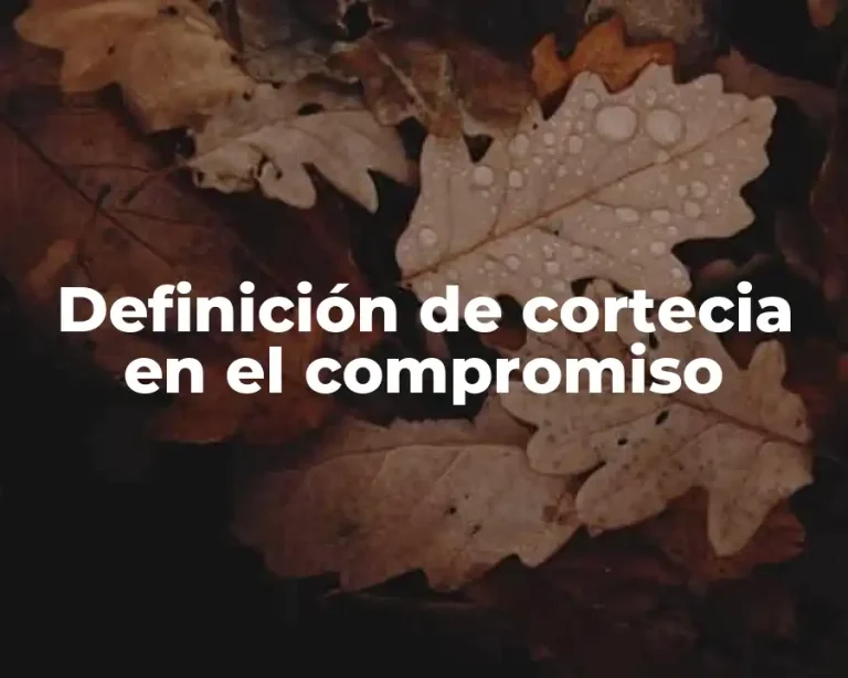 Definición de cortecia en el compromiso